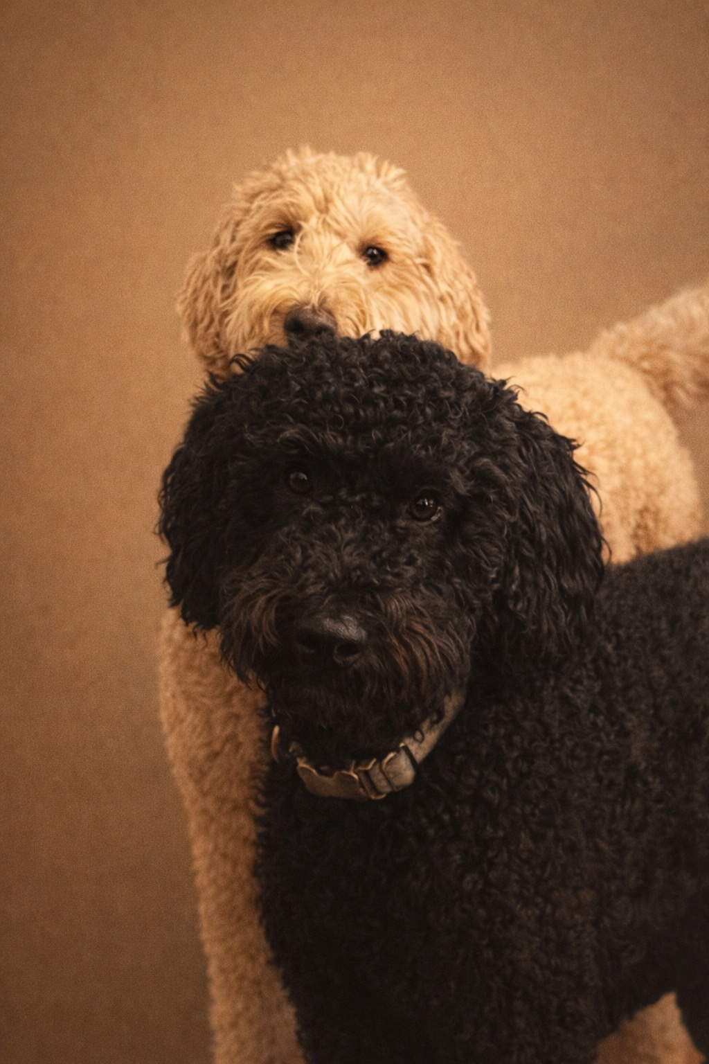 AI surreal collage with saturated colors